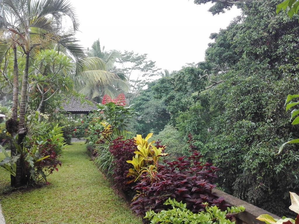Villa Alam Surya Ubud المظهر الخارجي الصورة