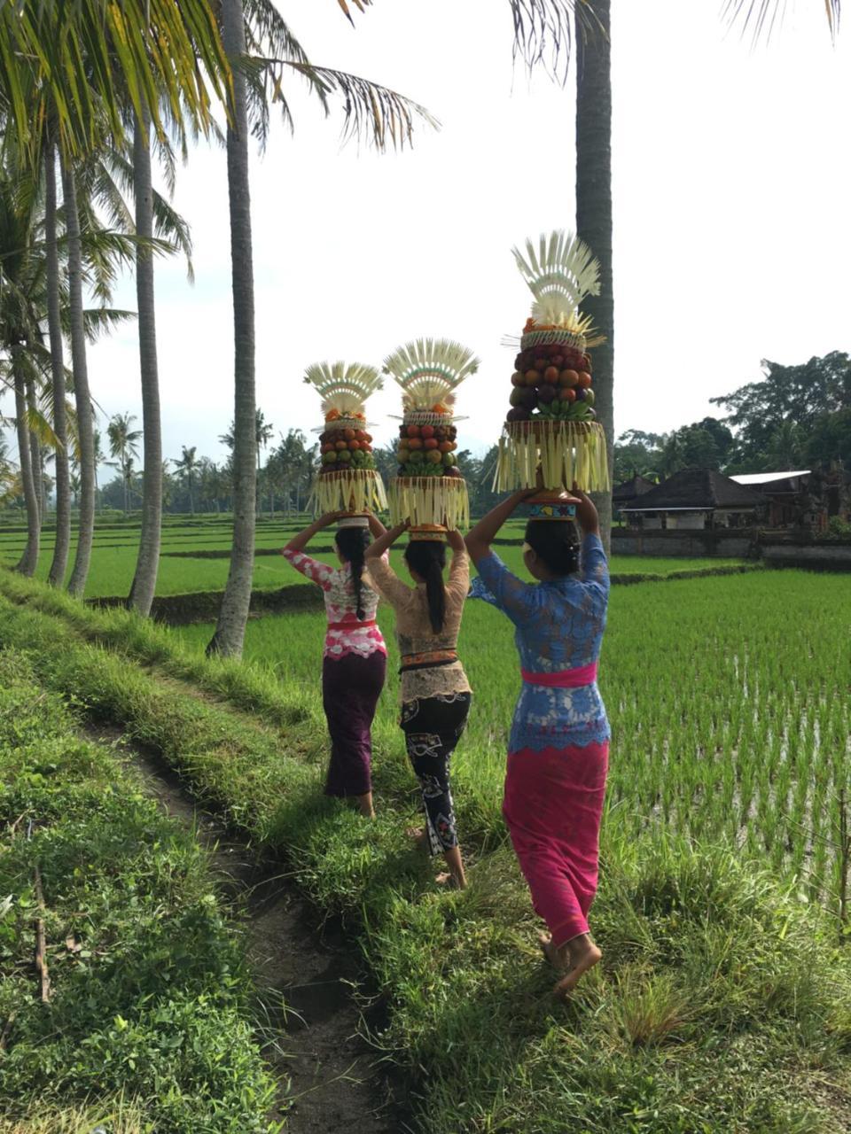 Villa Alam Surya Ubud المظهر الخارجي الصورة